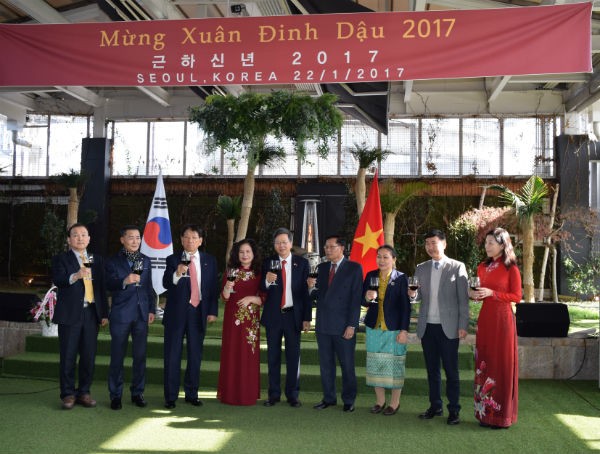 Đại sứ quán Việt Nam tại Hàn Quốc tổ chức Tết Cộng đồng 2017 - ảnh 2